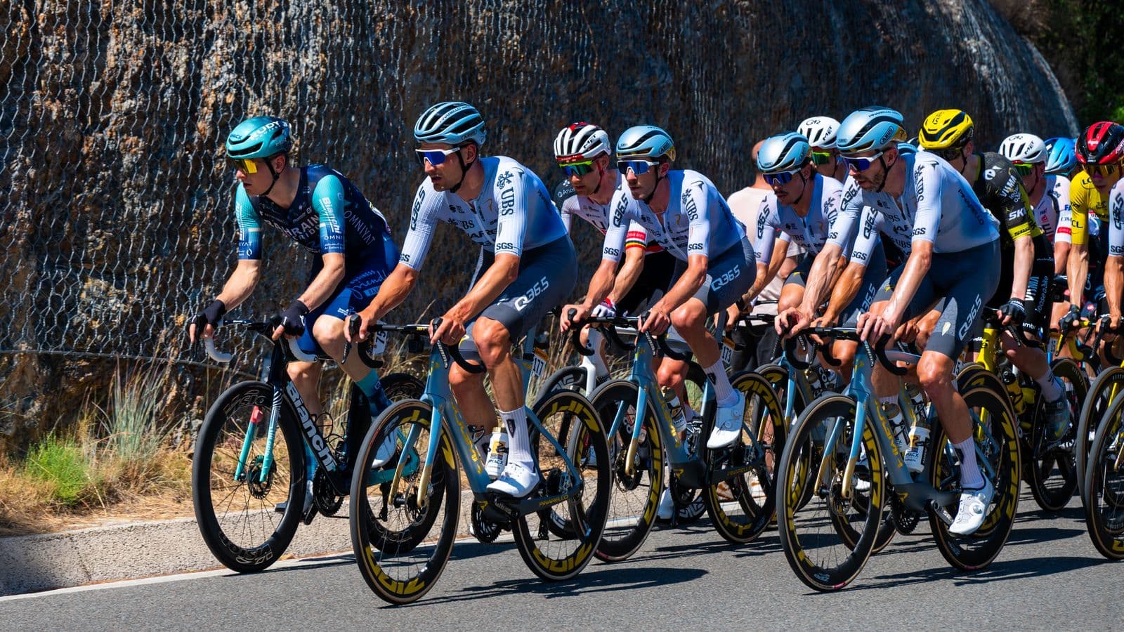 Group of cyclists riding together on a sunlit road