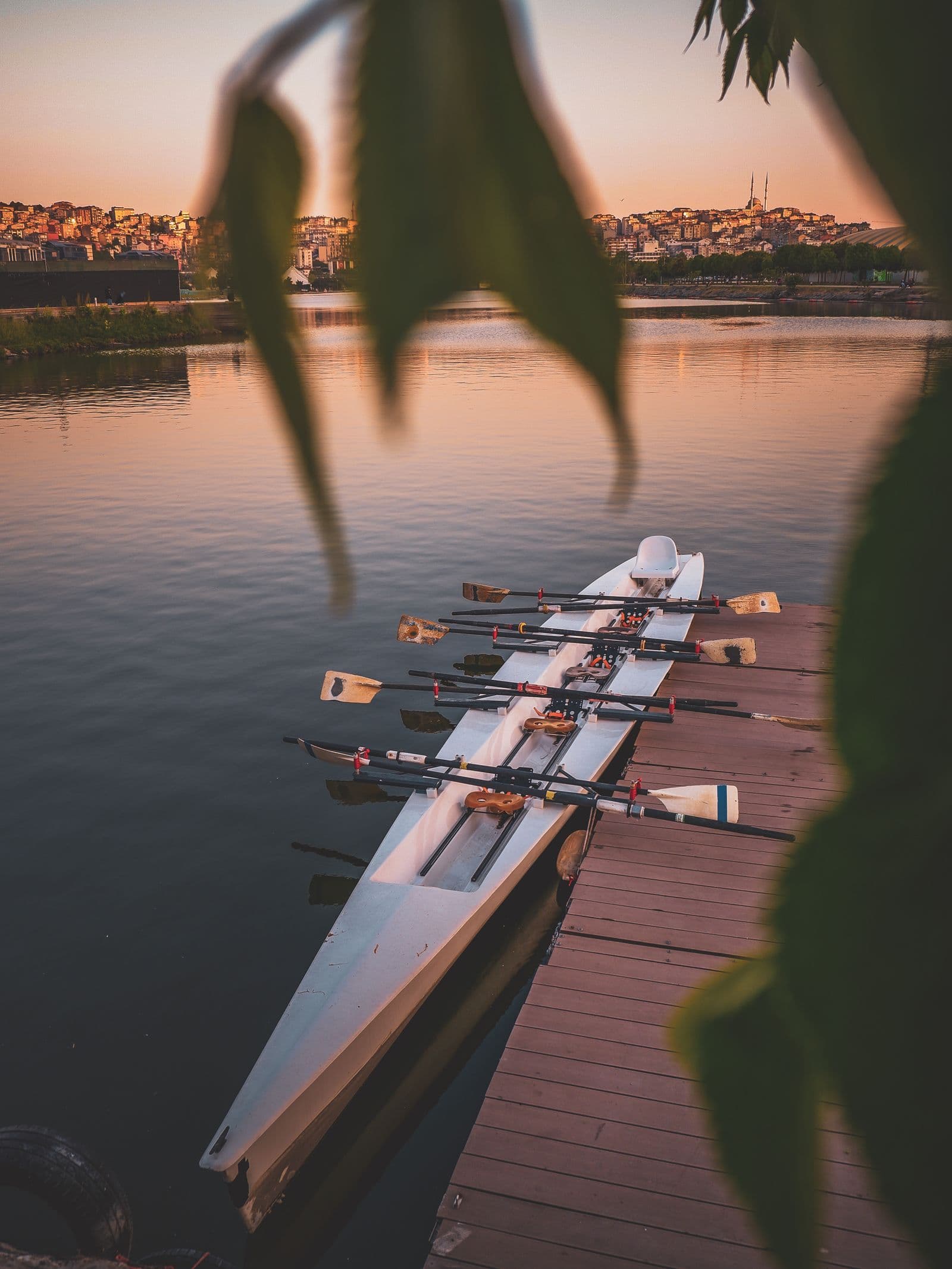 Rowing shell and oars on calm water