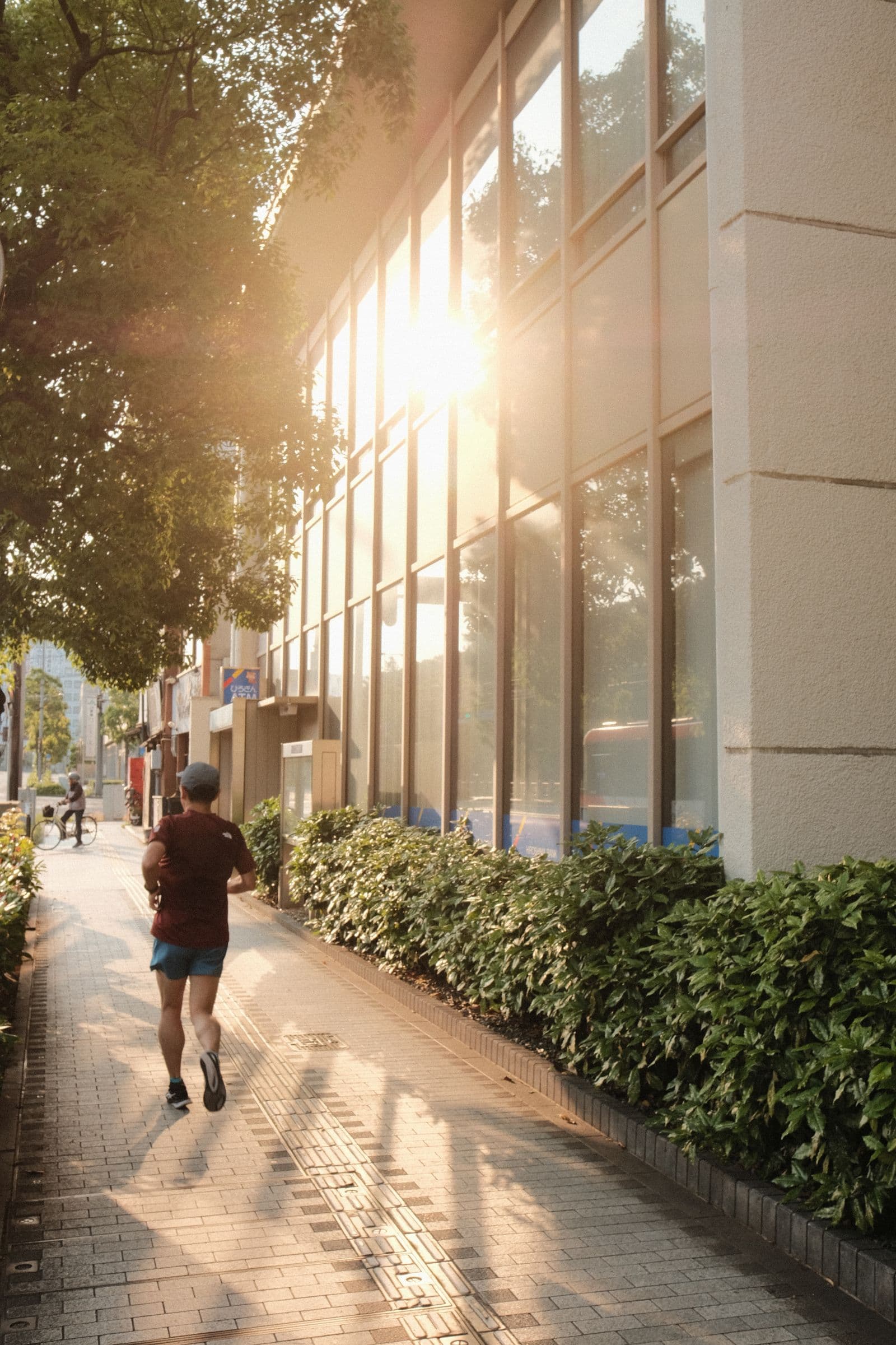 Runner on a quiet tree-lined city street in morning light
