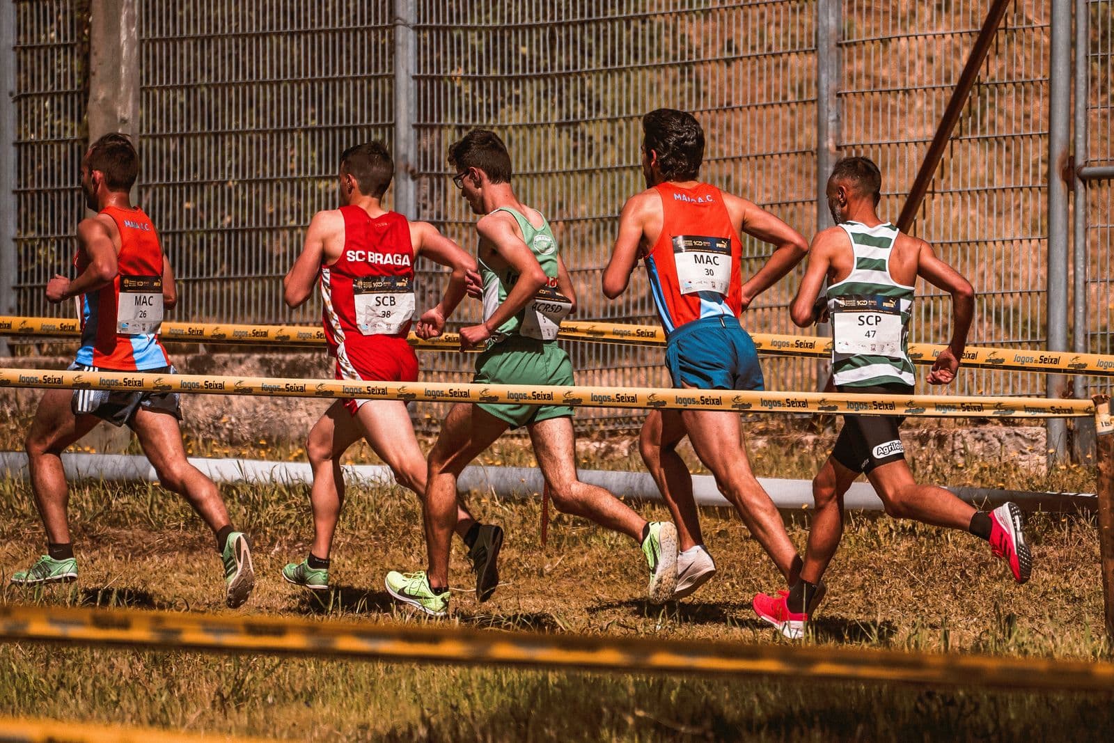 Young runners racing on grass at a cross country meet