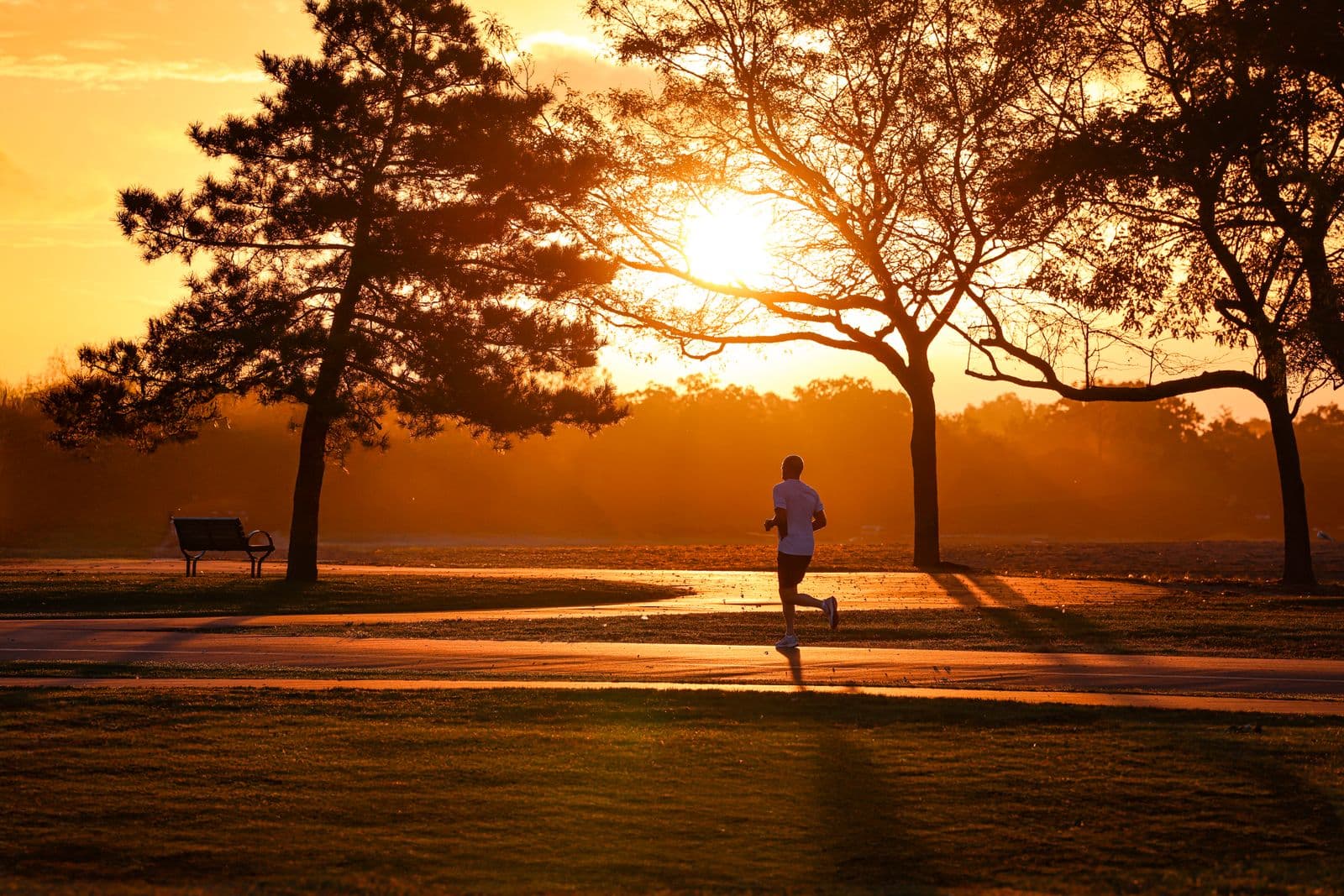 Silhouette of a runner in a park at sunrise
