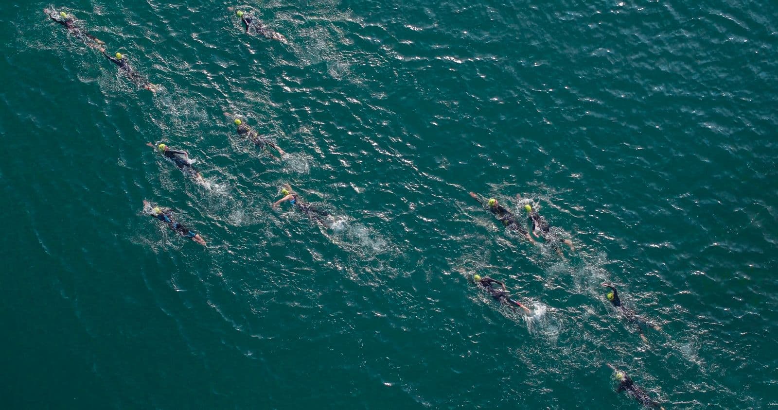 Open-water swimmers in wetsuits and bright caps from above