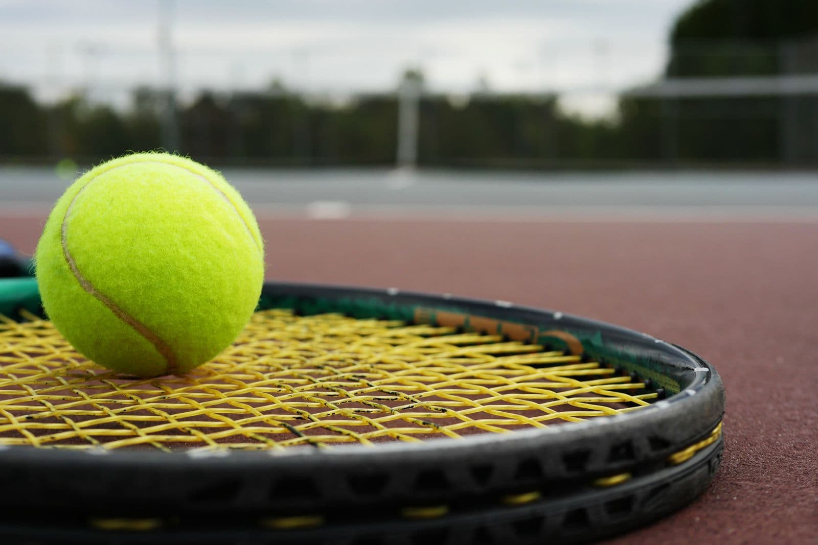 Tennis ball resting on racket strings